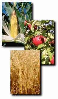Improve your crops quality and quantity.