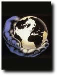 Ecology