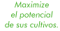 Maximize el potencial